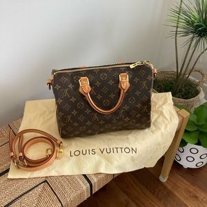 Louis Vuitton Speedy Handbag
